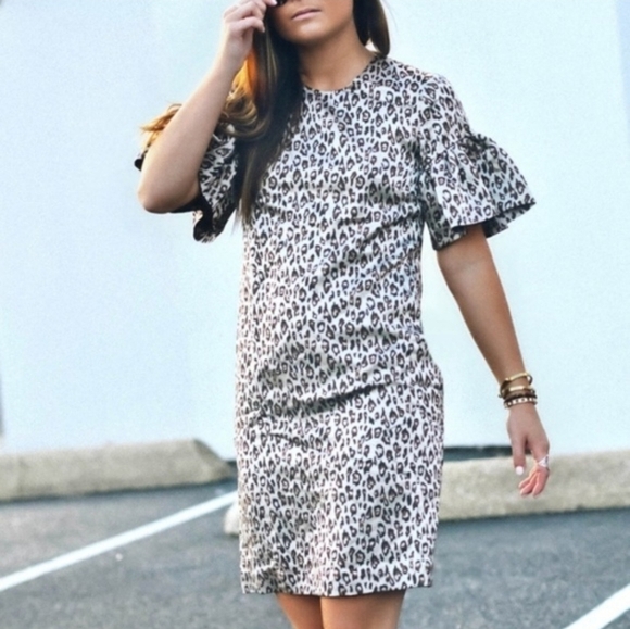 Banana Republic Dresses & Skirts - Banana Republic Leopard Print Metallic Ruffle Sleeve Mini Dress